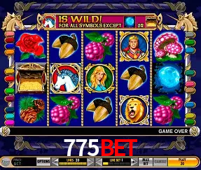 Descubra o Mundo do Cassino Online com 775bet